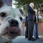 Dok američki senator Džon Mekejn sa svojom suprugom Sindi daje izjavu novinarima, pas njegovog sina Džimija liže kameru.