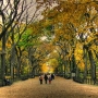 Central Park, Njujork