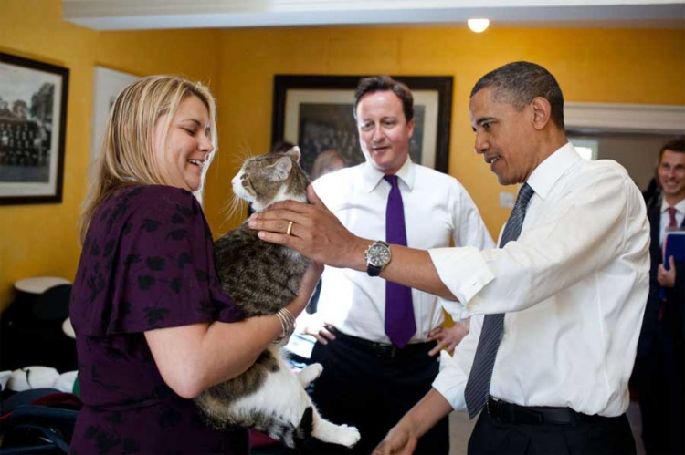 Britanski premijer Dejvid Kameron pokazao je svog mačka Larija američkom predsjedniku Baraku Obami.