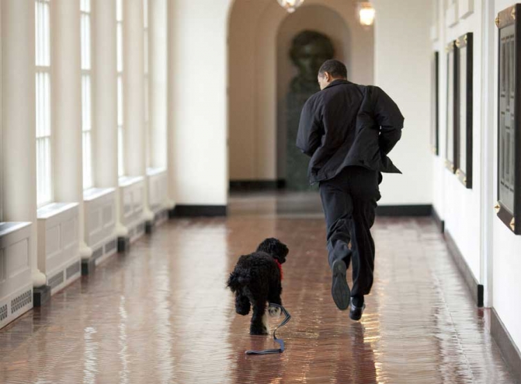 Američki predsjednik Barak Obama i njegov pas Bo.