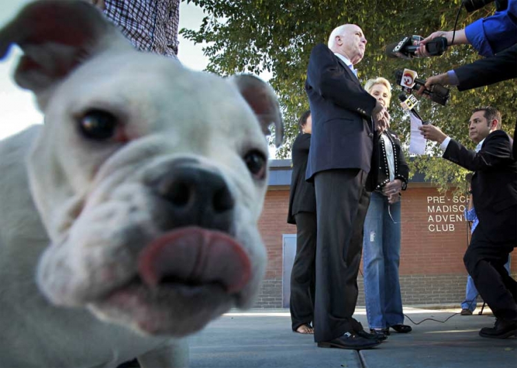 Dok američki senator Džon Mekejn sa svojom suprugom Sindi daje izjavu novinarima, pas njegovog sina Džimija liže kameru.