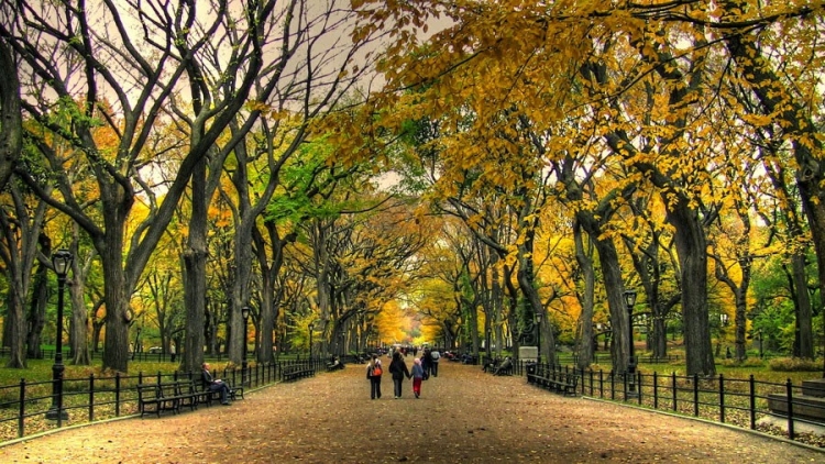 Central Park, Njujork