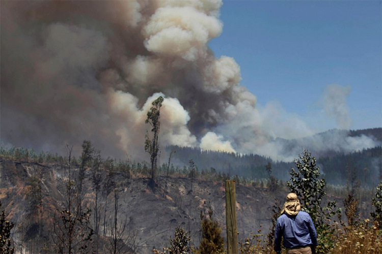 Seljanin gleda šumski požar u gradu Floride u Biobio Region Čilea 