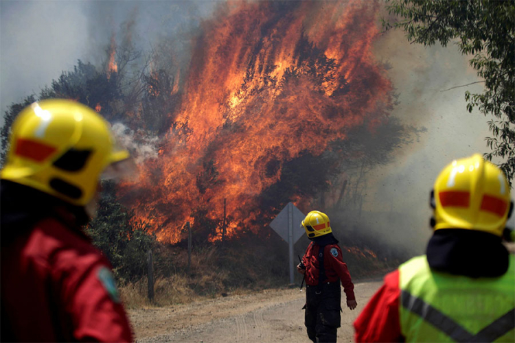 Vatrogasci u šumskom požaru u gradu Floride u Biobio egion Čilea