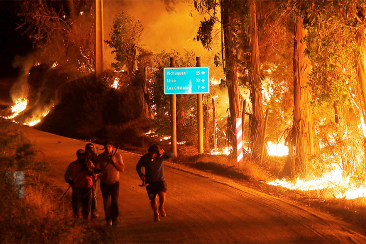 Vatra se vidi duž puta u gradu Hualane tokom velikog šumskog požara, na periferiji grada Curico, Čile, 21. januara 2017. godine.