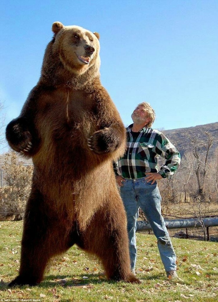 Medvjed Bart i njegov trener Doug Seus