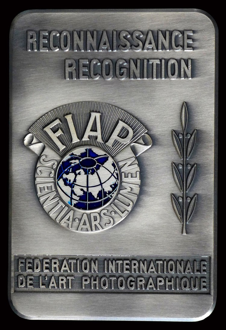 FIAP silver plaque FOTO EMOCIJA