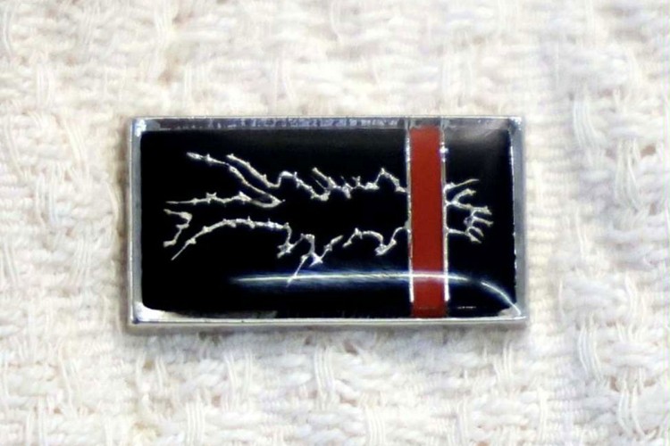 Srna