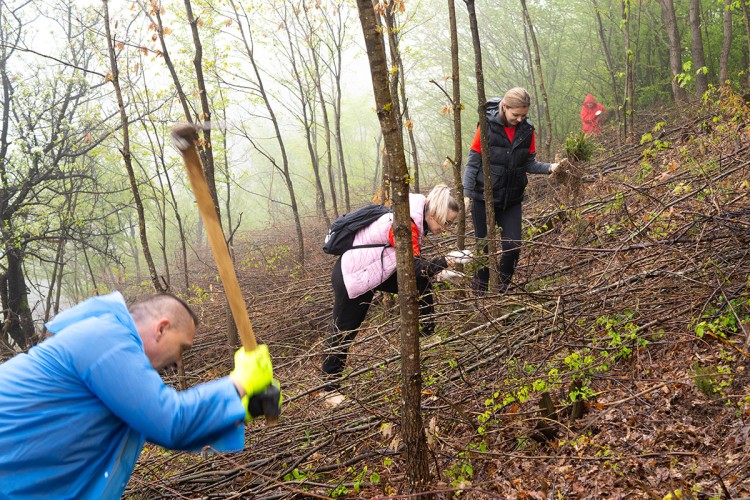 Ustupljena fotografija Ustupljena fotografija